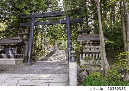 長野県諏訪郡　諏訪大社　下社秋宮　鳥居 50580386