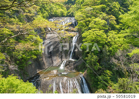 新緑の袋田の滝 新緑の袋田の滝 50581019