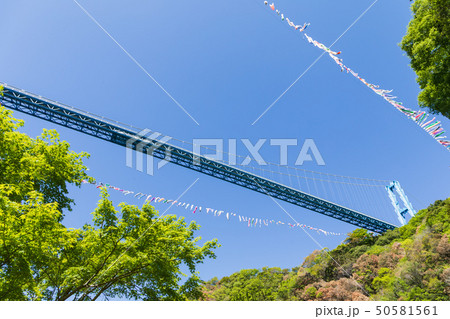 竜神大吊橋と鯉のぼり 50581561