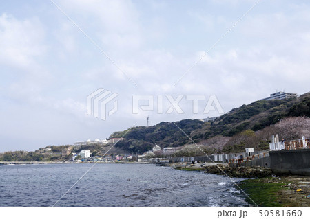 馬堀海岸(春) 馬堀海岸(春) 50581660