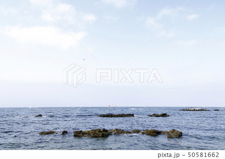 馬堀海岸(春) 馬堀海岸(春) 50581662
