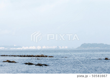 馬堀海岸（春） 50581667