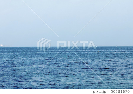 馬堀海岸(春) 馬堀海岸(春) 50581670