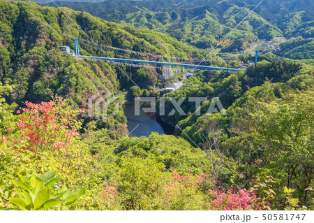 竜神大吊橋を俯瞰する 50581747