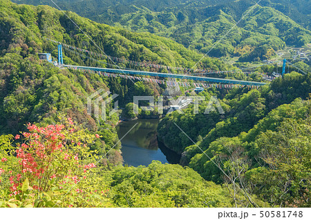 竜神大吊橋を俯瞰する 竜神大吊橋を俯瞰する 50581748