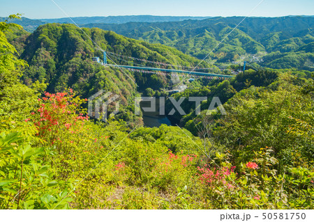 竜神大吊橋を俯瞰する 50581750