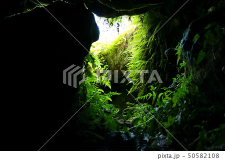 風景 観光 風 50582108