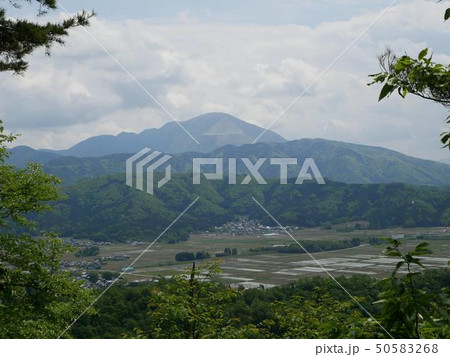 小谷城跡から見た伊吹山 50583268