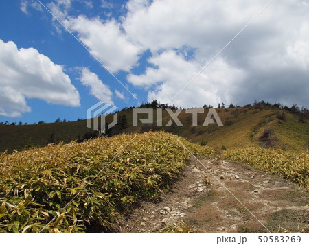 大川入山の登山道 50583269