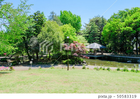 蚕糸の森公園 50583319