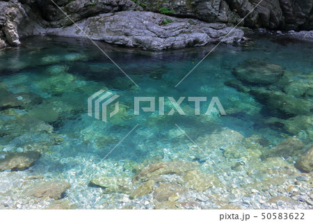 安居渓谷の水晶淵　初夏（高知県）	 50583622