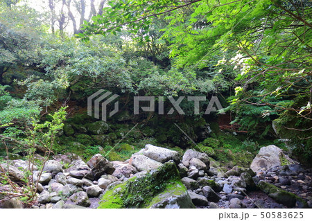 風景 観光 風 50583625