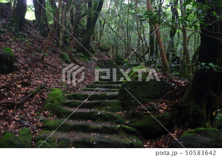 風景 観光 風 50583642
