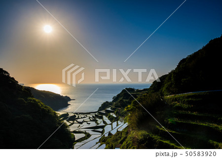 浜野浦の棚田の夕陽　【佐賀県】 50583920