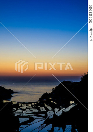 浜野浦の棚田の日没後 【佐賀県】 浜野浦の棚田の日没後 【佐賀県】 50583986