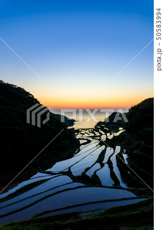 浜野浦の棚田の日没後 【佐賀県】 浜野浦の棚田の日没後 【佐賀県】 50583994