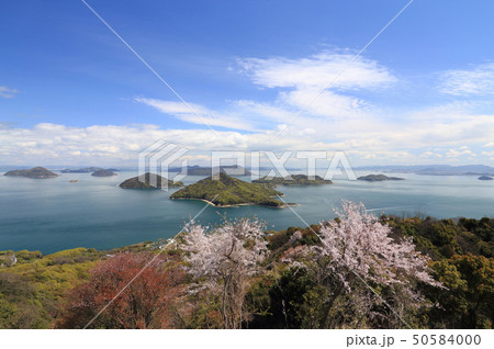 桜満開の紫雲出山から塩飽諸島の粟島、高見島などを見る 桜満開の紫雲出山から塩飽諸島の粟島、高見島などを見る 50584000