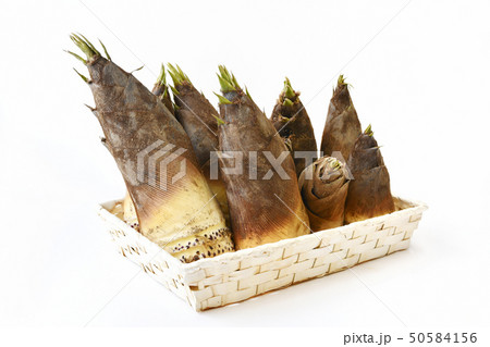 掘りたての筍 50584156
