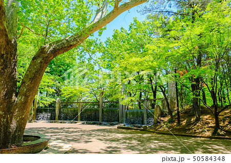 蚕糸の森公園 50584348