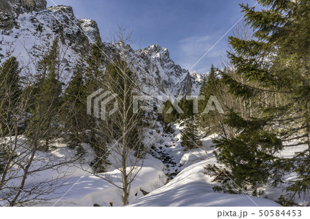 The beauty of nature in Slovakia. Mala Studena The beauty of nature in Slovakia. Mala Studena 50584453