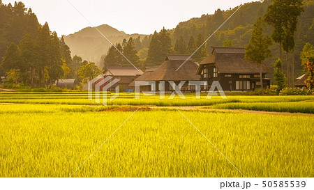 夏の農村風景 (荻ノ島環状集落の夕暮れ) 夏の農村風景 (荻ノ島環状集落の夕暮れ) 50585539