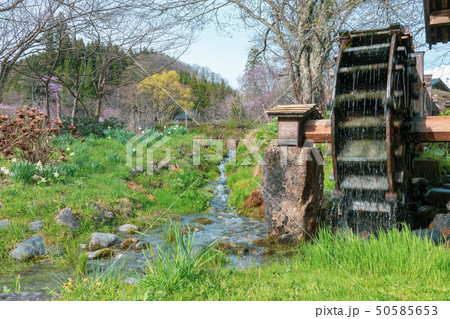 大出公園：水車　　　　北安曇郡白馬村 50585653