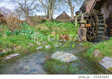 春の小川：大出公園　　　　北安曇郡白馬村 50585682