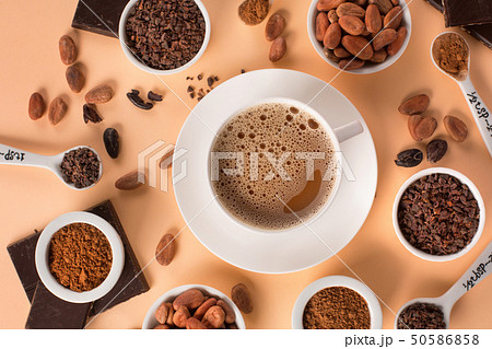 Natural cocoa beans and hot chocolate 50586858