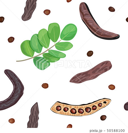 Ripe Carob sweet pods, leaves, seeds seamless 50588100