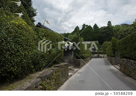 知覧武家屋敷 知覧武家屋敷 50588209