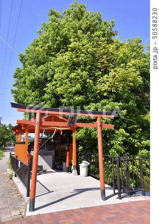 永尾大神（大阪府堺市） 50588230