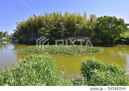 いたすけ古墳（大阪府堺市） 50588264