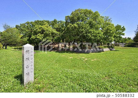旗塚古墳 大仙公園(大阪府堺市) 旗塚古墳 大仙公園(大阪府堺市) 50588332