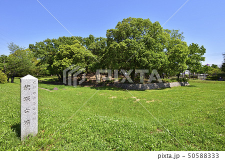 旗塚古墳　大仙公園（大阪府堺市） 50588333