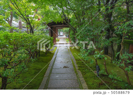 円徳院 参道の濡れた石畳 50588679