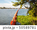 Orange Waste trap buoys 50589781