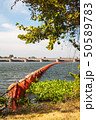Orange Waste trap buoys 50589783