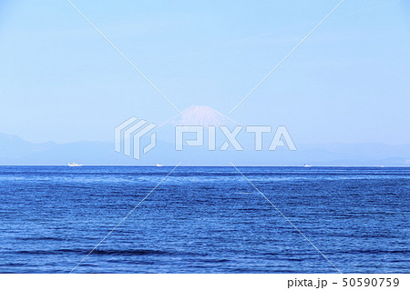 三戸浜（初夏） 50590759