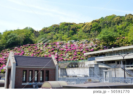 京都・蹴上浄水場 50591770