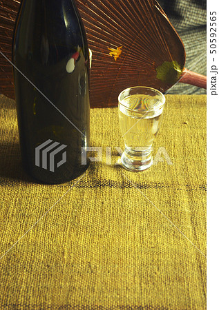 今宵気儘にひとり酒 50592565