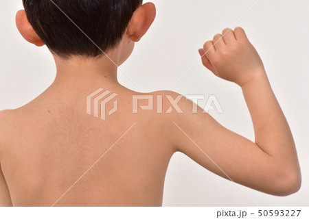 子供の背中とガッツポーズ 子供の背中とガッツポーズ 50593227