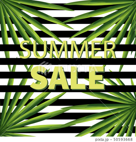 Summer sale vector banner. Social media advertisement with palm leaves. Summer sale vector banner. Social media advertisement with palm leaves. 50593668
