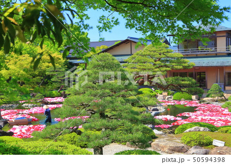 【島根県】由志園の池泉牡丹 【島根県】由志園の池泉牡丹 50594398