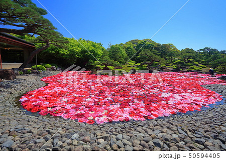 【島根県】由志園の池泉牡丹 50594405