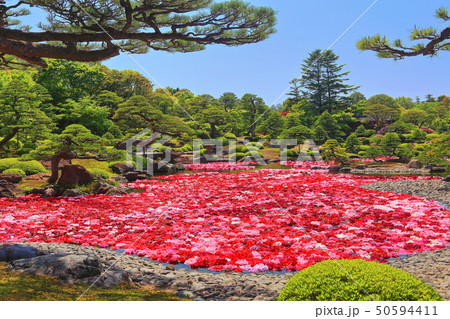 【島根県】由志園の池泉牡丹 50594411
