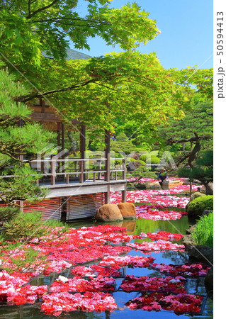 【島根県】由志園の池泉牡丹 50594413