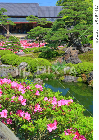 【島根県】由志園の池泉牡丹 50594417