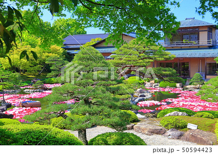 【島根県】由志園の池泉牡丹 50594423