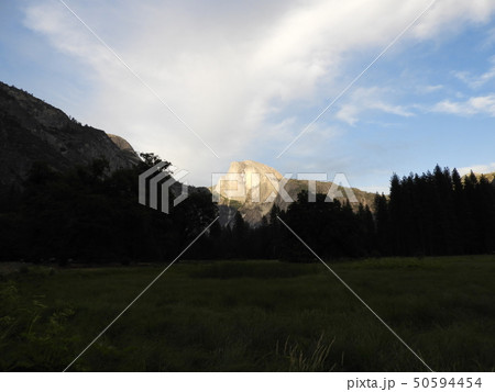 ハーフドームと森林の風景　ヨセミテ 50594454