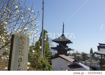 高山寺　三重塔 50594462